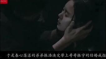 嫂子借种视频,伦理道德与家庭关系的冲突