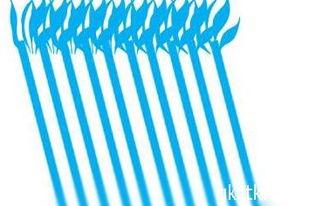 富贵竹编织方法视频,打造家居绿植新亮点