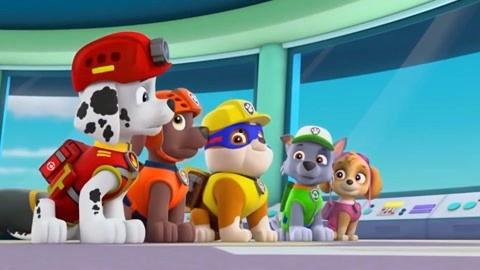 我要看汪汪队视频