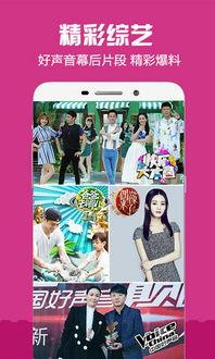 乐视视频2015旧版本,乐视视频旧版本的风华岁月