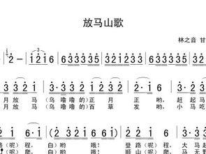 放马山歌视频,探寻古老旋律中的民族风情