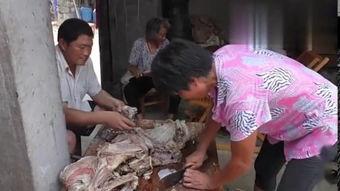 杀羊的视频,揭秘杀羊全过程